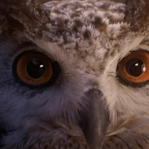 独家放送！高压水枪模拟器兑换码2025版，免费领取最新兑换秘籍！