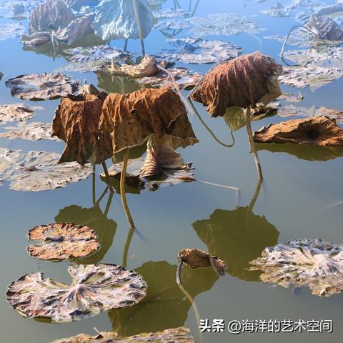 夏日盛装亮相！《DNF》夏日套外观大揭秘，独家鉴赏！