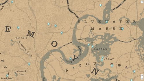 荒野大镖客2北美野植卡位置揭秘！轻松找到野植香烟卡攻略指南