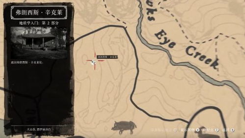 荒野大镖客2石刻5位置揭秘！高效攻略助你轻松找到宝藏