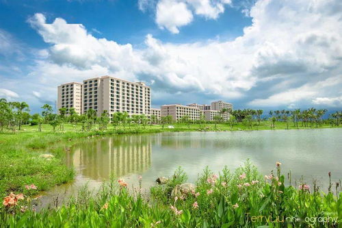 《黄金四目》兑换码大揭秘：2025独家福利来袭