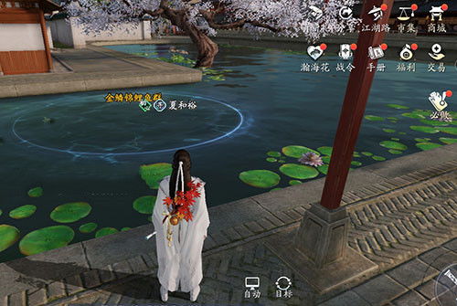 《渔帆暗涌》手游稀有鱼藏匿秘境大揭秘！必看攻略！