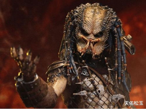 《铁血战士》11月7日上映，独家揭秘杀戮之地新玩法！