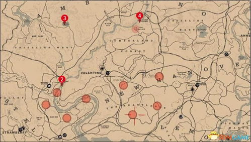 荒野大镖客2藏宝图1精准位置揭秘，快速找到宝藏攻略指南