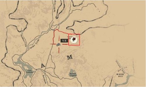 荒野大镖客2藏宝图1精准位置揭秘，快速找到宝藏攻略指南