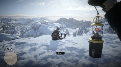 荒野大镖客2机器人精准位置揭秘，高效攻略助你一臂之力