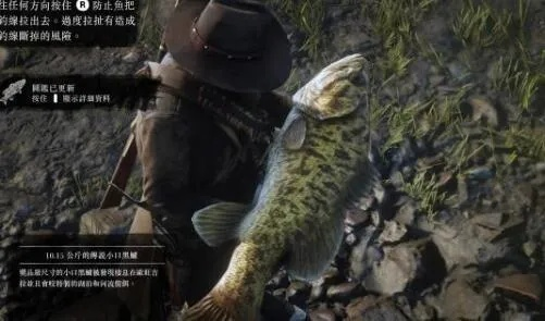 荒野大镖客2河鲈传说分布揭秘，高效攻略助你一网打尽