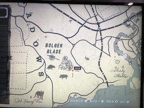 荒野大镖客2美洲狮传说位置揭秘攻略，轻松找到隐藏珍宝