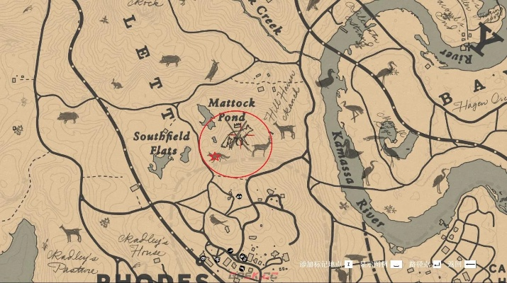 荒野大镖客2寻传世狐狸攻略：揭秘独特位置技巧