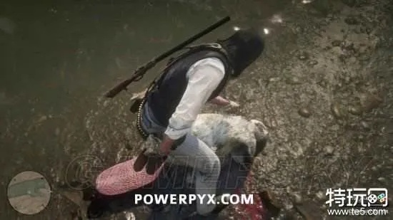 荒野大镖客2河狸传说位置揭秘！独家攻略助你轻松找到宝藏