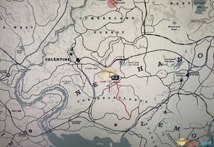 荒野大镖客2神射手6挑战攻略：独家技巧助你轻松通关