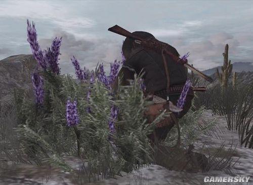 荒野大镖客2草药大师挑战攻略，全面图文解析，轻松通关秘籍大公开