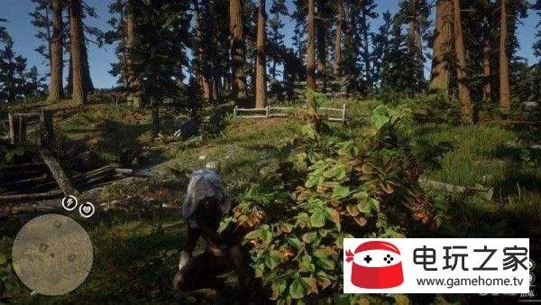 荒野大镖客2草药大师挑战攻略：高效完成10级任务秘籍分享