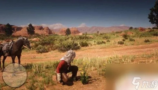 荒野大镖客2草药大师挑战攻略：高效完成10级任务秘籍分享