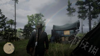 荒野大镖客2草药大师8挑战攻略：高效通关秘籍大揭秘