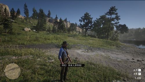 荒野大镖客2草药大师7挑战攻略：高效通关秘籍大揭秘