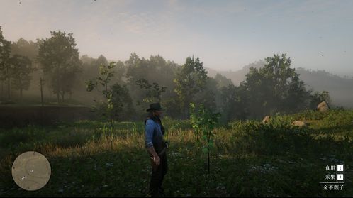 荒野大镖客2草药大师7挑战攻略：高效通关秘籍大揭秘