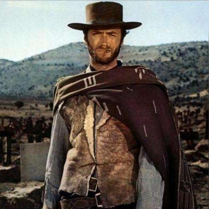 荒野大镖客2草药大师5挑战攻略：高效通关秘籍大揭秘