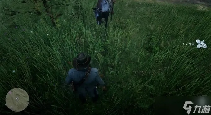 荒野大镖客2草药大师2挑战攻略：高效通关秘籍大揭秘