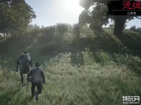 荒野大镖客2土匪7挑战攻略：高效通关秘籍大揭秘