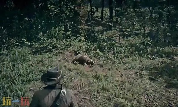 荒野大镖客2捕猎大师挑战攻略，全面图文解析攻略秘籍大公开