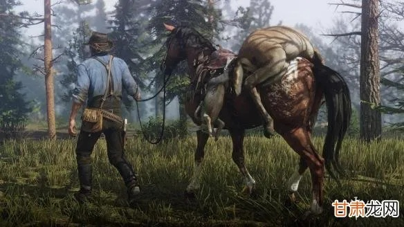 荒野大镖客2捕猎大师9挑战攻略：高效捕猎技巧揭秘