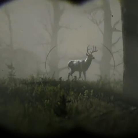 荒野大镖客2捕猎大师6挑战攻略：高效捕猎技巧解析