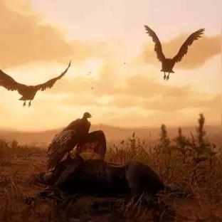 荒野大镖客2捕猎大师6挑战攻略：高效捕猎技巧解析