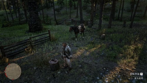 荒野大镖客2捕猎大师3挑战攻略：高效捕猎技巧解析