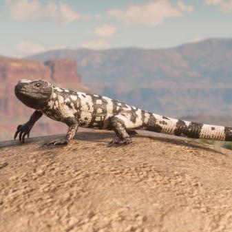 荒野大镖客2捕猎大师2挑战攻略：解锁技巧全解析，轻松通关！