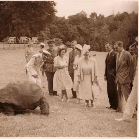 2022海龟汤最新题目解答汇总，解锁游戏迷必备攻略