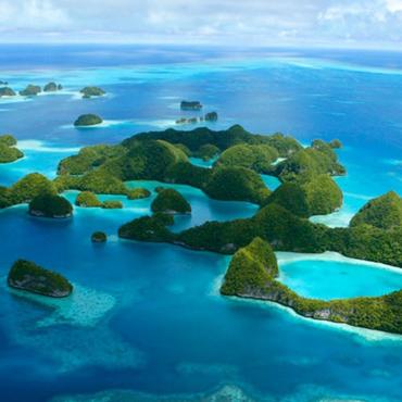 海龟汤难题解析：全面收录经典试题及独家解答攻略