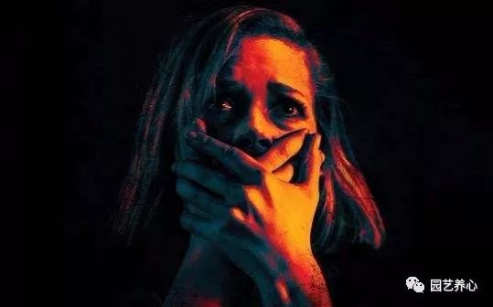 揭秘惊悚！100个海龟汤恐怖谜题等你挑战破解