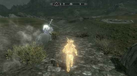 上古卷轴5刺杀皇帝任务攻略：高效通关秘籍，轻松成为暗影刺客