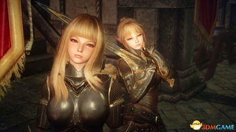 上古卷轴5高精灵攻略：深度解析高精灵玩法技巧精髓