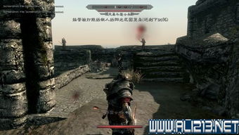 上古卷轴5红卫人攻略：深度解析高效玩法技巧