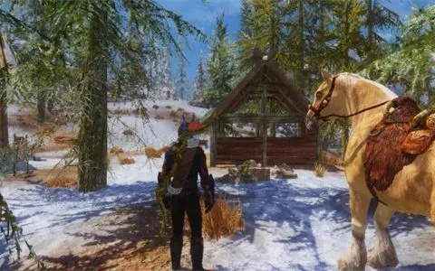 上古卷轴5负重极限代码一览，轻松解锁装备携带新技巧