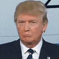 墨西哥严打动物虐待：最高刑罚两年升级，守护生命新规来袭