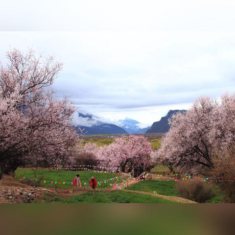 《受折磨的灵魂2》发售：美女主激战怪物，体验惊心动魄灵魂之旅