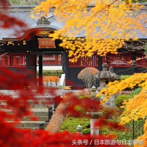 《怪物猎人：旅人》全新情报揭秘！狩猎机制革新引玩家狂热追捧