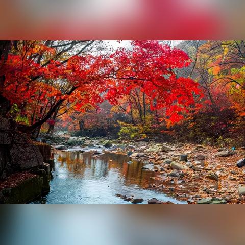 华为鸿蒙助力，12000+游戏阵容升级！《植物大战僵尸3》领衔首发体验