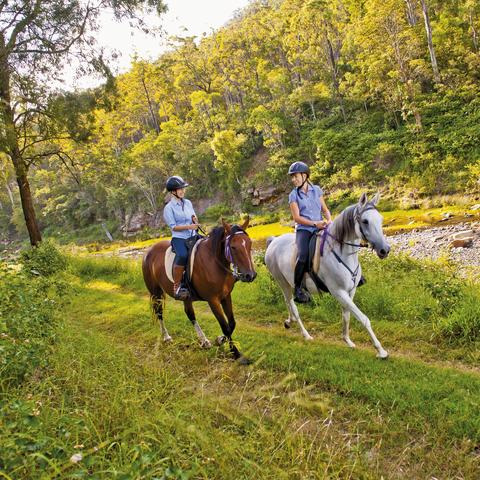 《洛克王国：世界》开服倒计时！10月23日独家测试PV，体验全新冒险之旅