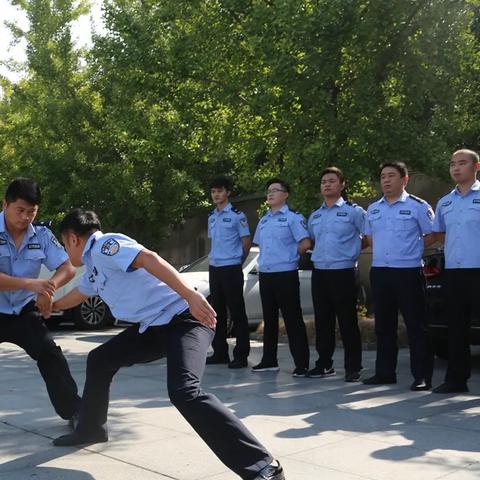 迅猛龙组会热议：新手玩家速来，轻松跟上专业话题！