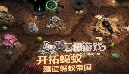 地下蚁国兑换码攻略：2025年最新兑换大全，独家秘籍！