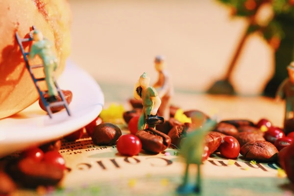 《粒粒探险记：揭秘小人国生活新奥秘》