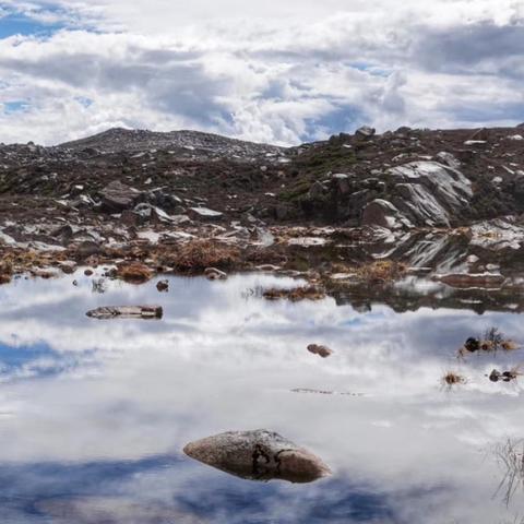 《天外世界2》好评如潮，创新体验引领潮流