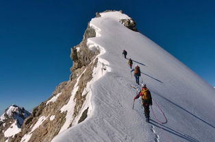 惊！TikTok攀岩博主巴林·米勒直播坠崖，挑战极限代价惨重