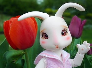 萌兔花园新预告曝光，绝美女神阵容惊艳亮相！