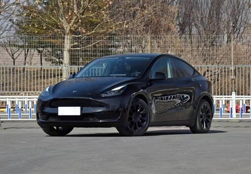 廉价特斯拉Model Y实拍曝光：丐中丐升级版震撼来袭