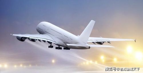 燕子滞留悲剧：东北大量燕子死亡，飞行能力丧失惊动网友